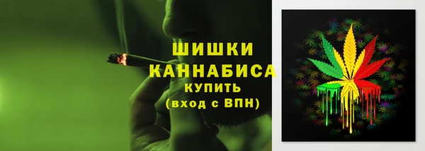 не бодяженный Кирсанов